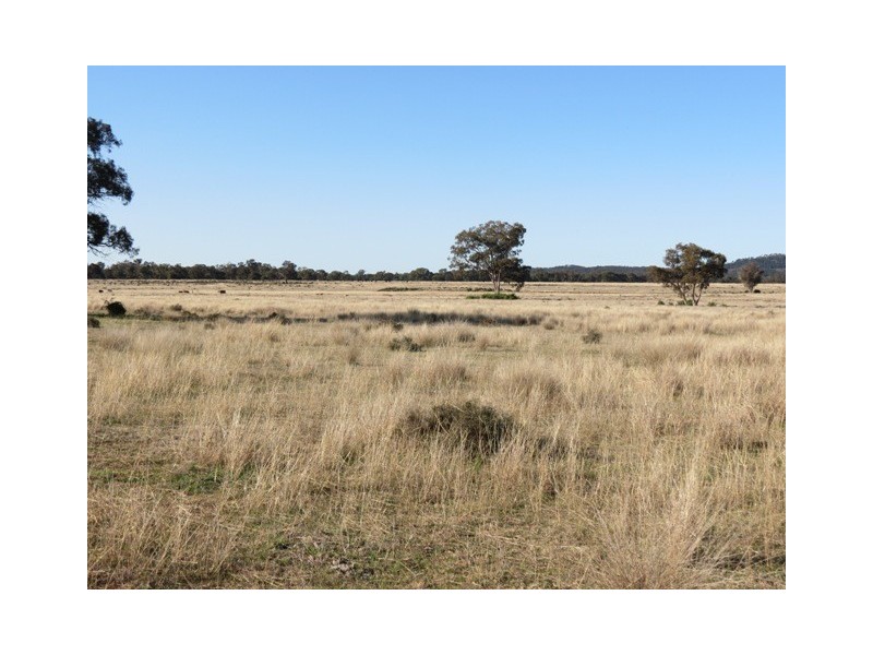 Glen Garry Mitchell Highway, Narromine NSW 2821