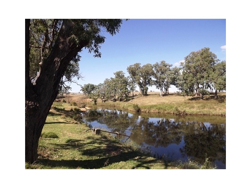 Coonabarabran NSW 2357