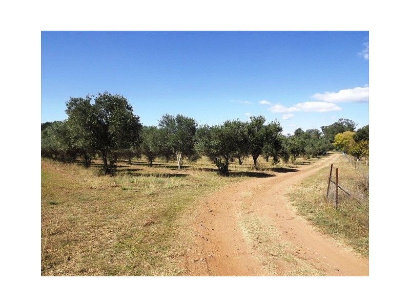 Coonabarabran NSW 2357