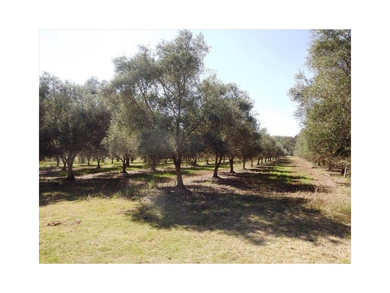 Coonabarabran NSW 2357