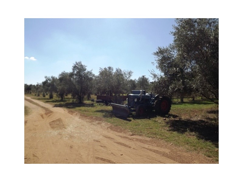 Coonabarabran NSW 2357