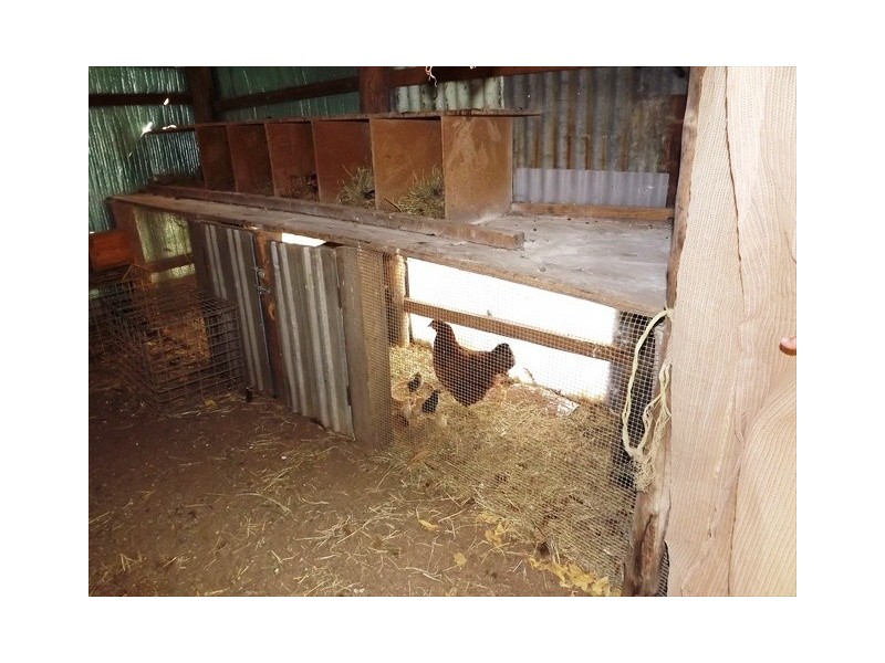 Coonabarabran NSW 2357