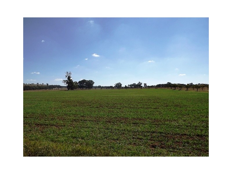 Coonabarabran NSW 2357