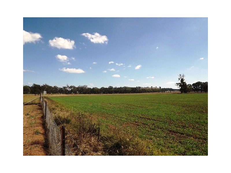 Coonabarabran NSW 2357