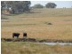 Coonabarabran NSW 2357