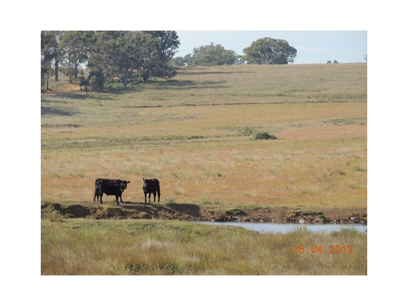 Coonabarabran NSW 2357