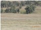 Coonabarabran NSW 2357