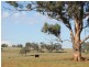 Coonabarabran NSW 2357