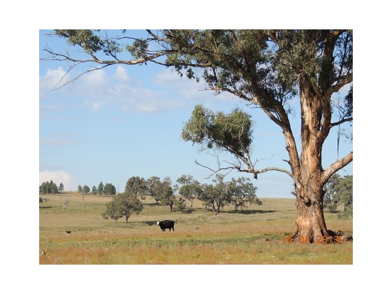 Coonabarabran NSW 2357