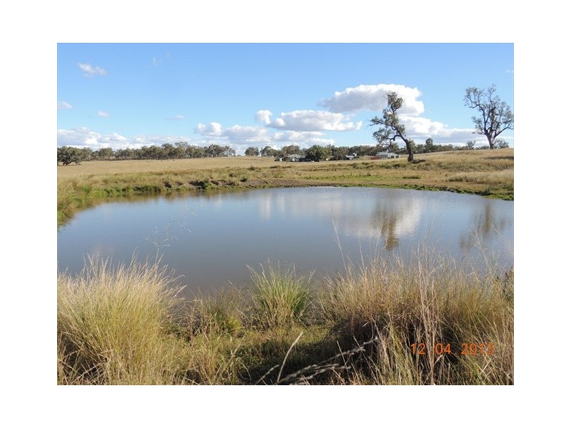 Coonabarabran NSW 2357