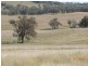 Coonabarabran NSW 2357