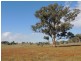 Coonabarabran NSW 2357