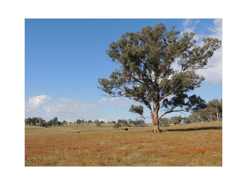Coonabarabran NSW 2357