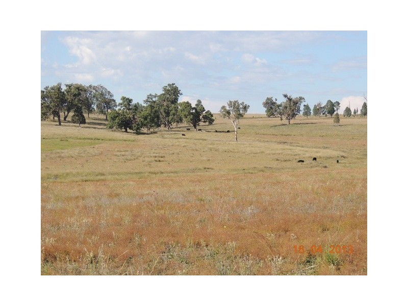 Coonabarabran NSW 2357