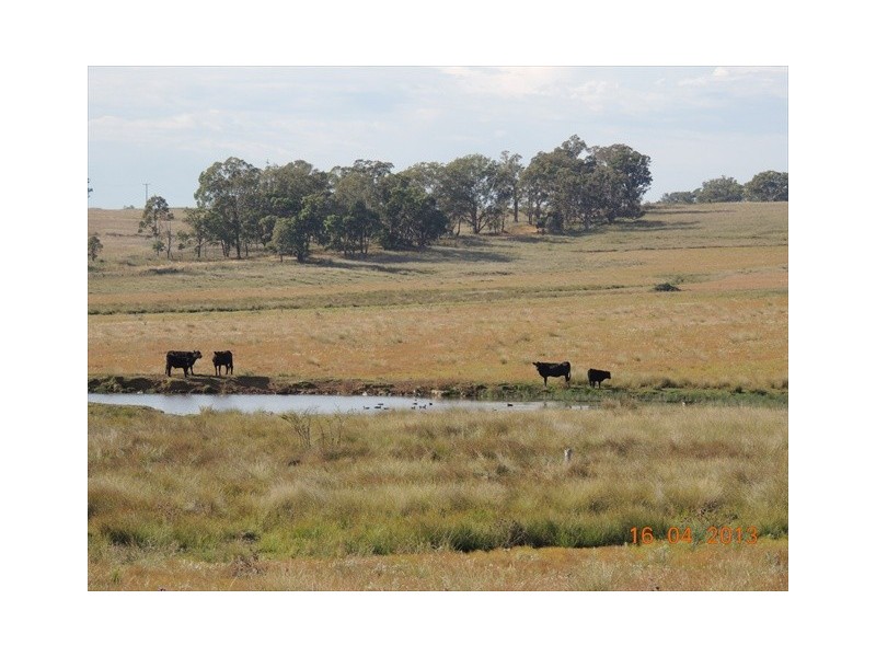 Coonabarabran NSW 2357