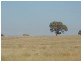 Coonabarabran NSW 2357