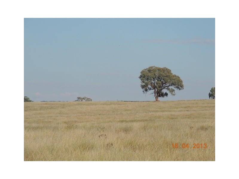 Coonabarabran NSW 2357