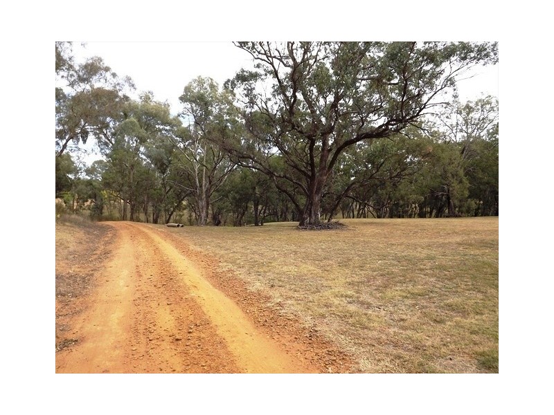 Coonabarabran NSW 2357