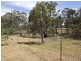 Coonabarabran NSW 2357