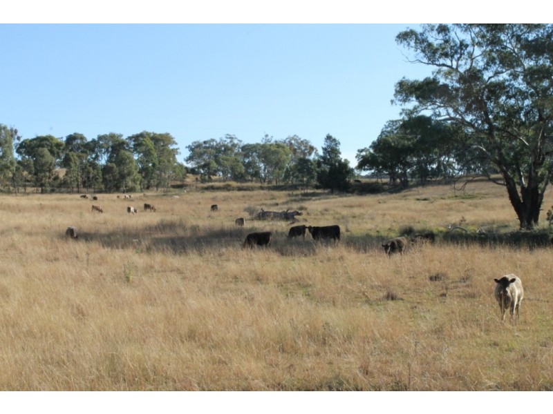 INALINGA Turners Lane, Inverell NSW 2360
