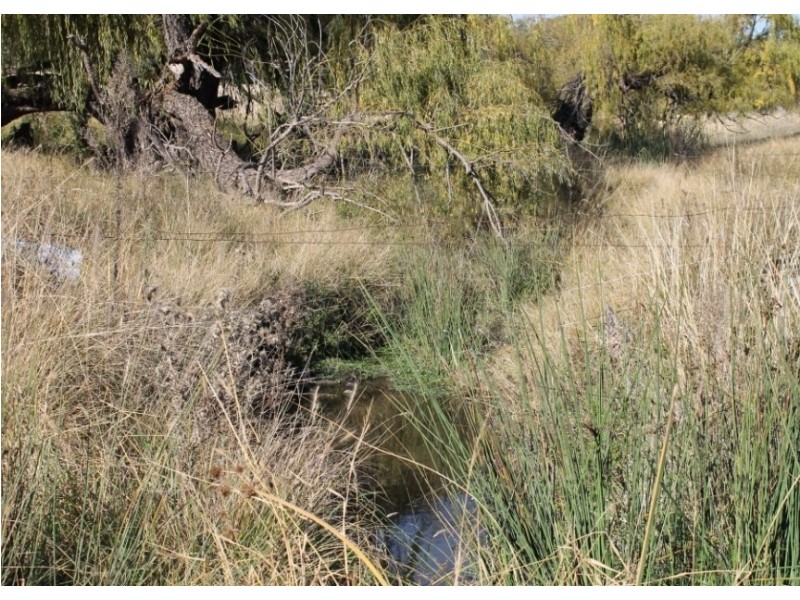INALINGA Turners Lane, Inverell NSW 2360