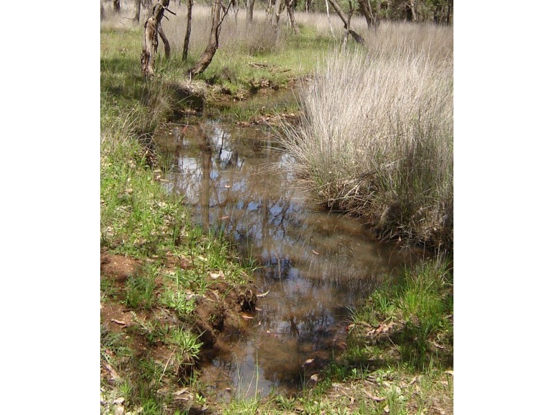THREE GUMS Bundarra Road, Inverell NSW 2360