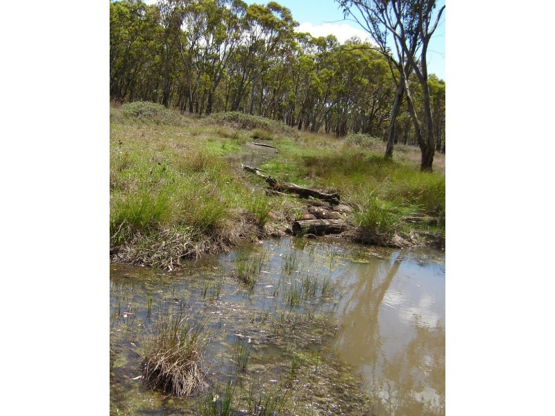 THREE GUMS Bundarra Road, Inverell NSW 2360
