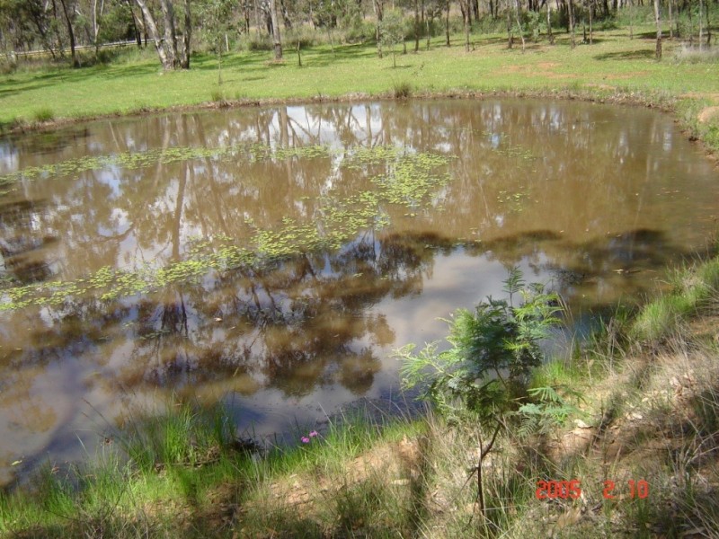 THREE GUMS Bundarra Road, Inverell NSW 2360