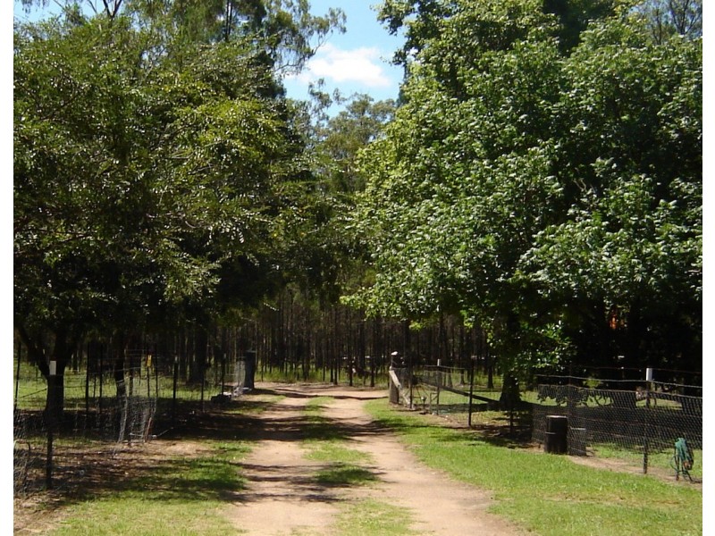 THREE GUMS Bundarra Road, Inverell NSW 2360