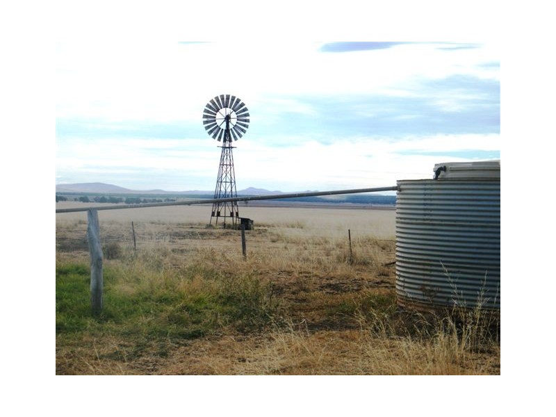 TRAWALLA EAST BUNDELLA ROAD, Quirindi NSW 2343