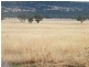 TRAWALLA EAST BUNDELLA ROAD, Quirindi NSW 2343