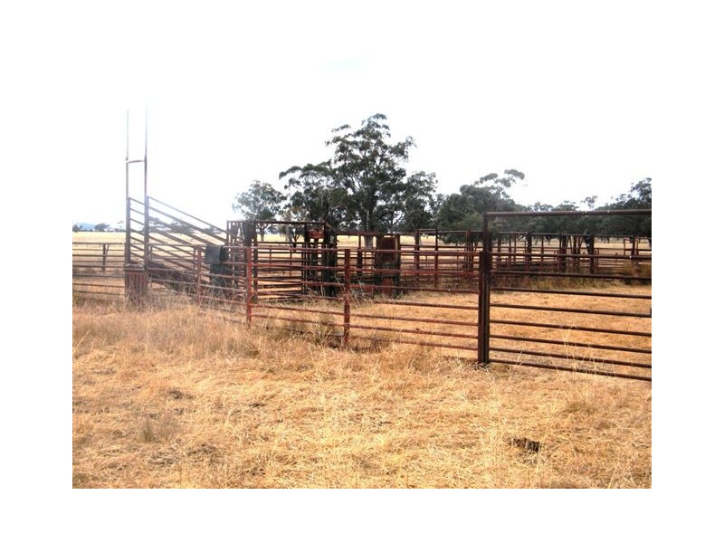 TRAWALLA EAST BUNDELLA ROAD, Quirindi NSW 2343