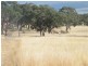 TRAWALLA EAST BUNDELLA ROAD, Quirindi NSW 2343