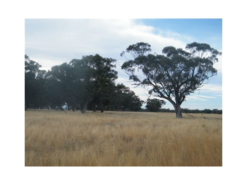 TRAWALLA EAST BUNDELLA ROAD, Quirindi NSW 2343