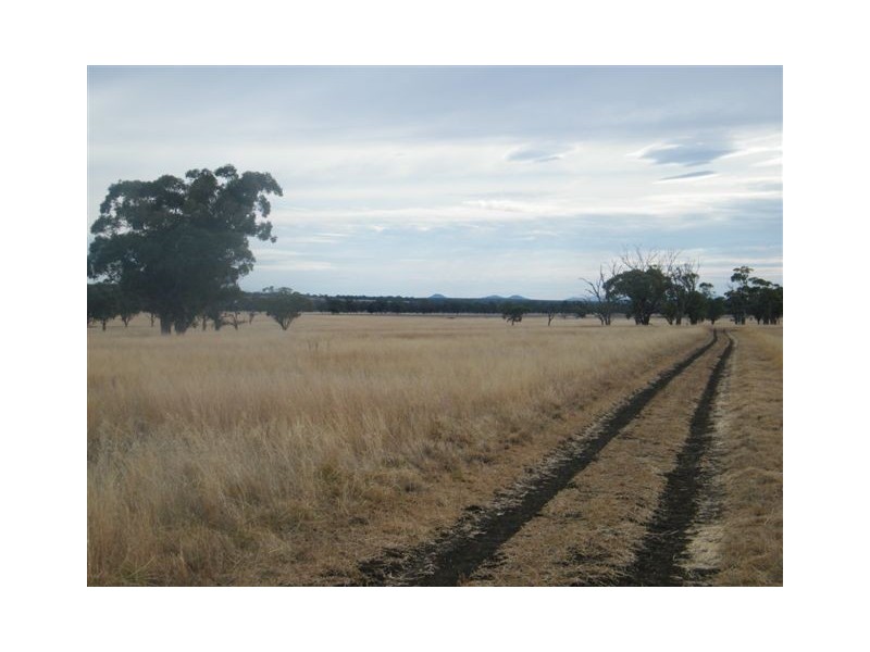 TRAWALLA EAST BUNDELLA ROAD, Quirindi NSW 2343
