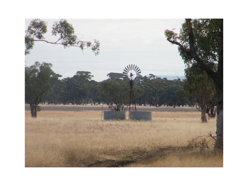 TRAWALLA EAST BUNDELLA ROAD, Quirindi NSW 2343