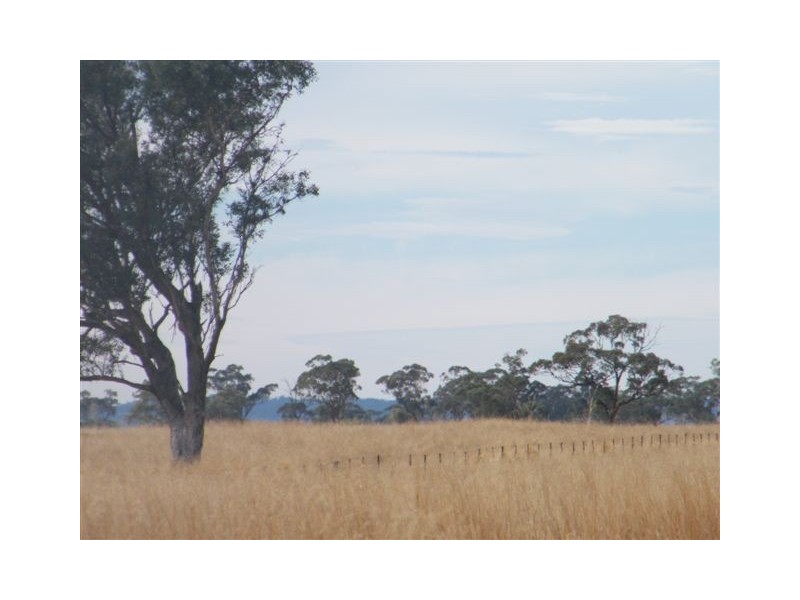 TRAWALLA EAST BUNDELLA ROAD, Quirindi NSW 2343