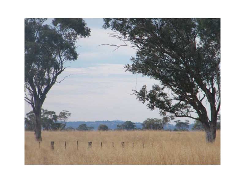 TRAWALLA EAST BUNDELLA ROAD, Quirindi NSW 2343