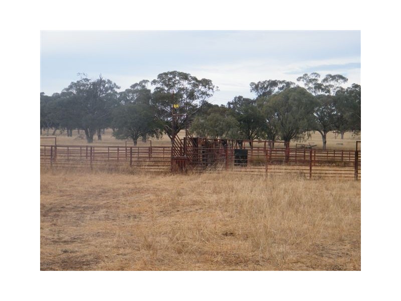 TRAWALLA EAST BUNDELLA ROAD, Quirindi NSW 2343