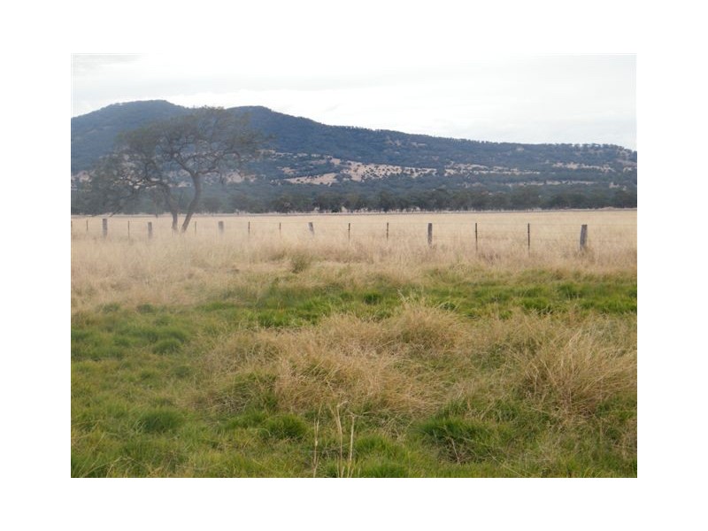 TRAWALLA EAST BUNDELLA ROAD, Quirindi NSW 2343