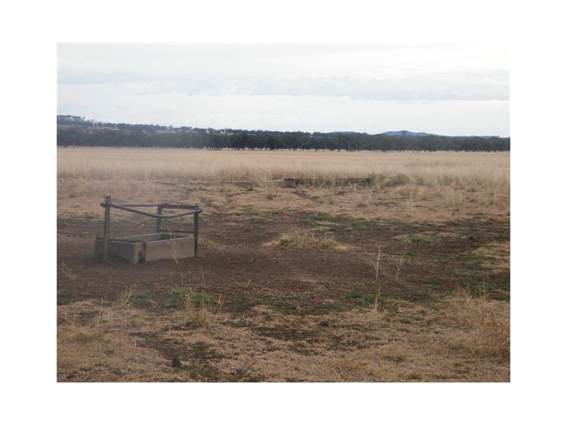 TRAWALLA EAST BUNDELLA ROAD, Quirindi NSW 2343