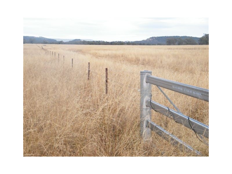 TRAWALLA EAST BUNDELLA ROAD, Quirindi NSW 2343