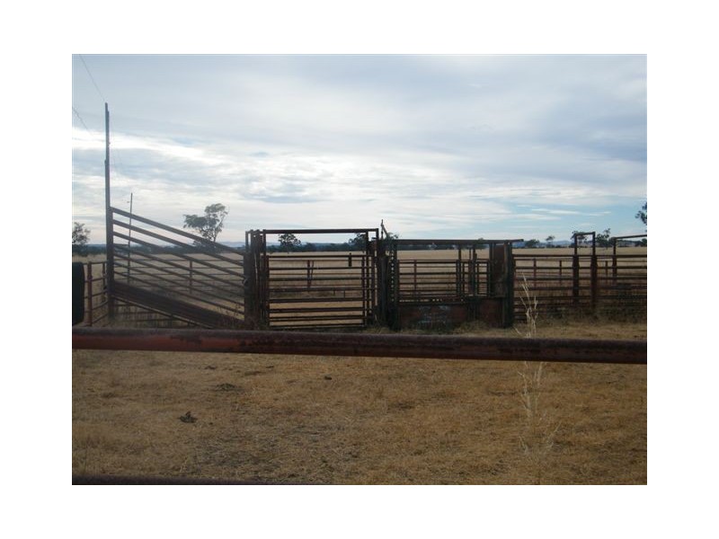 TRAWALLA EAST BUNDELLA ROAD, Quirindi NSW 2343