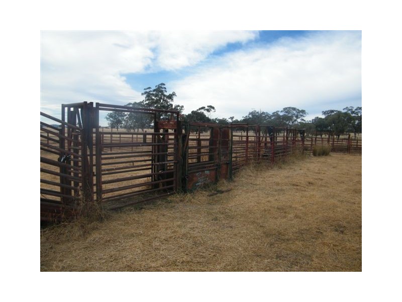TRAWALLA EAST BUNDELLA ROAD, Quirindi NSW 2343
