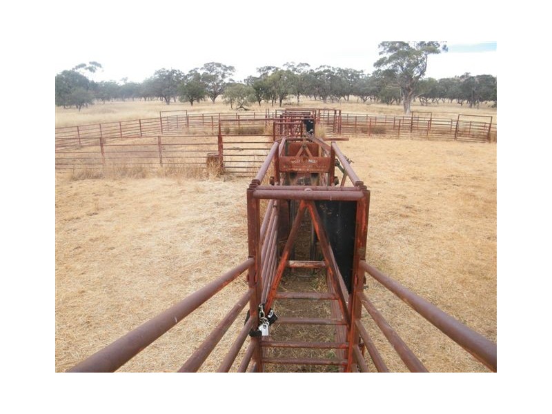 TRAWALLA EAST BUNDELLA ROAD, Quirindi NSW 2343