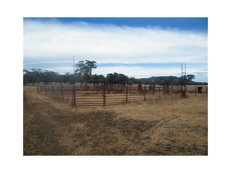 TRAWALLA EAST BUNDELLA ROAD, Quirindi NSW 2343