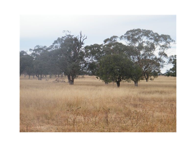 TRAWALLA EAST BUNDELLA ROAD, Quirindi NSW 2343