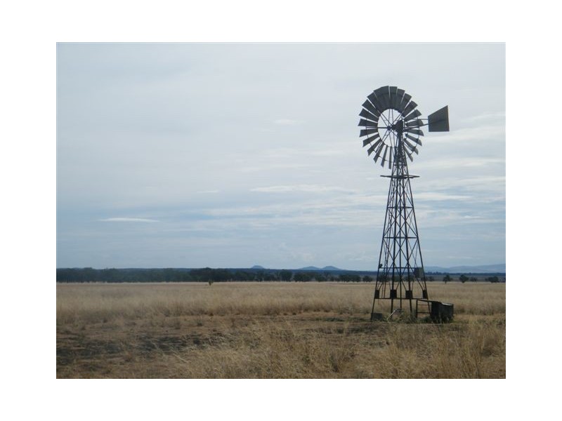 TRAWALLA EAST BUNDELLA ROAD, Quirindi NSW 2343