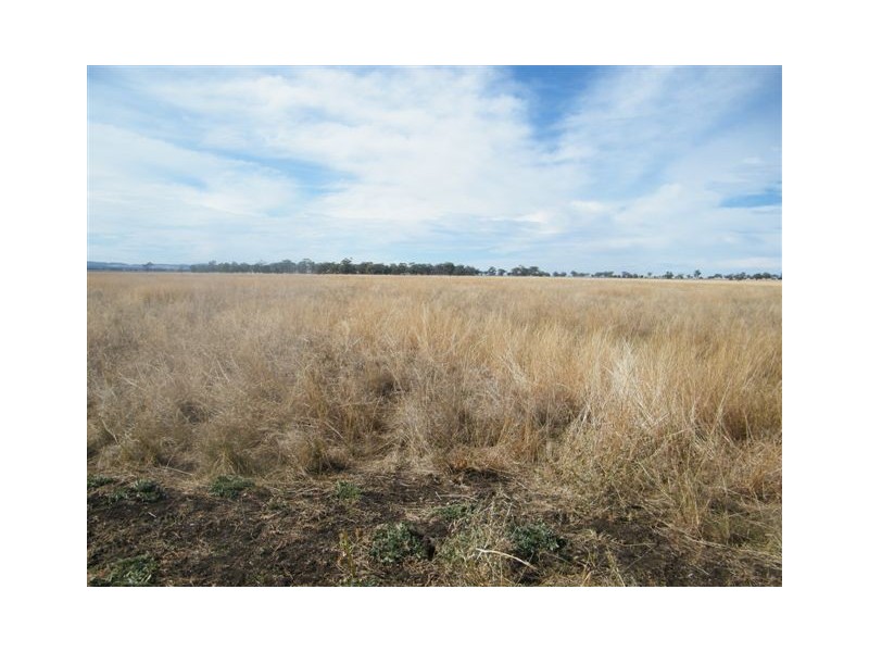 TRAWALLA EAST BUNDELLA ROAD, Quirindi NSW 2343