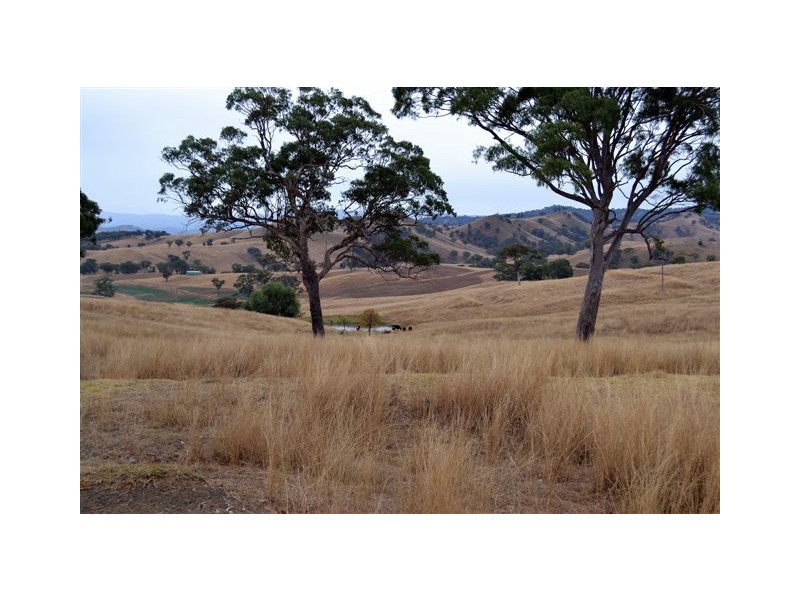 2200 Waverley Road, Timor NSW 2338